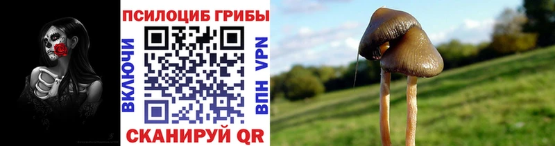мега сайт  Бахчисарай  Галлюциногенные грибы Psilocybe  магазин продажи наркотиков 
